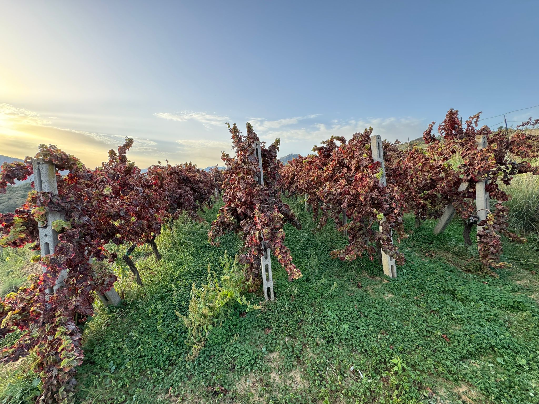 Italienreise – weitere Impressionen (8)