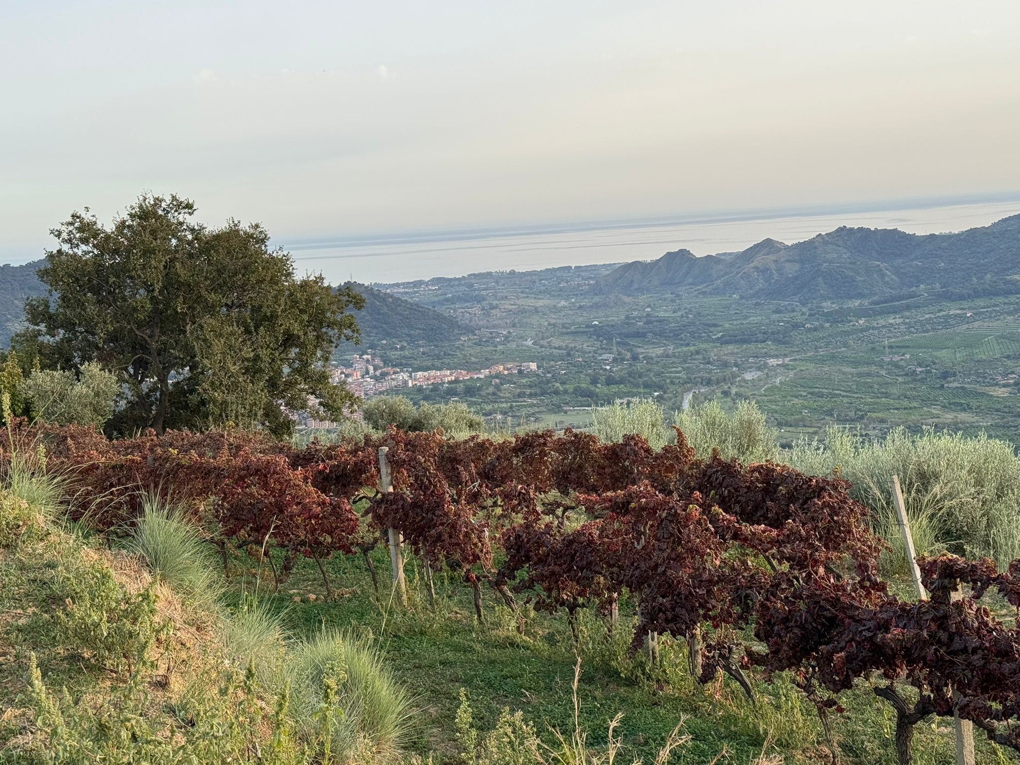 Italienischer Rotwein: Genussmoment am Abend der Reise